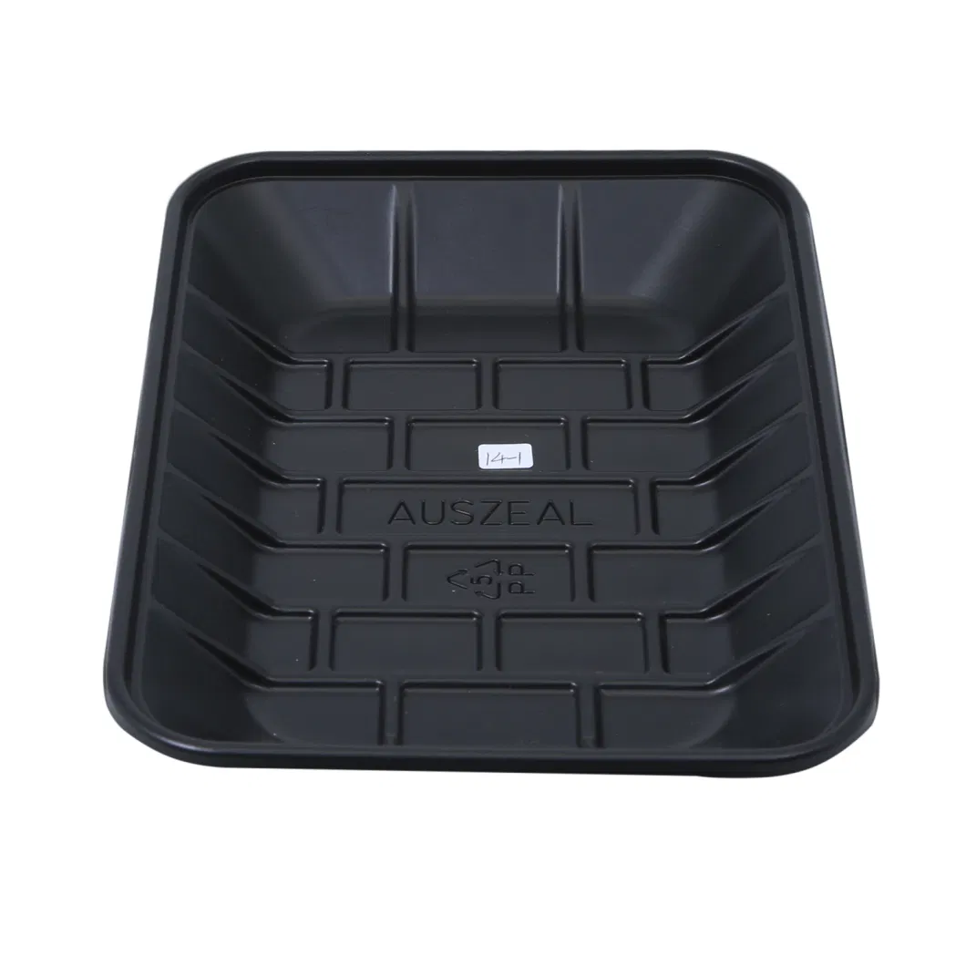 Microwavable Plastic Bento PET /PP tray for food